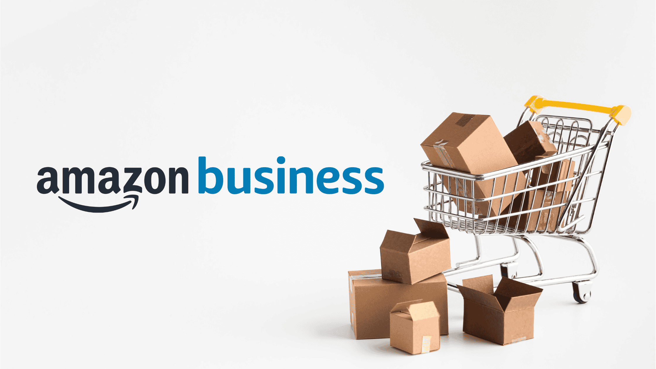 amazon para profissionais b2b
